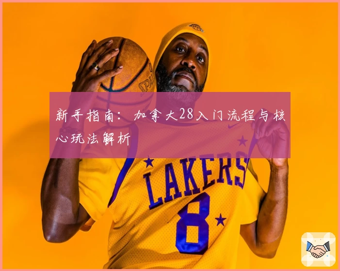 新手指南：加拿大28入门流程与核心玩法解析