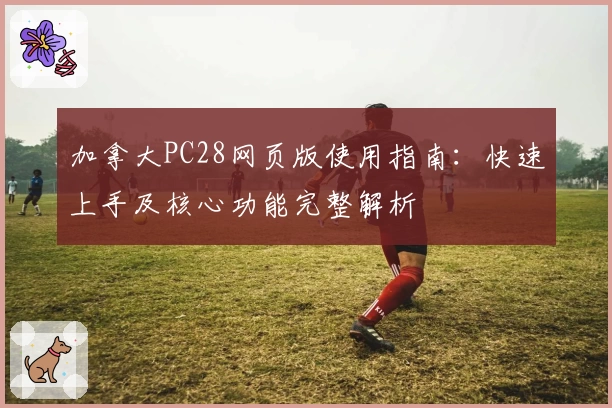 加拿大PC28网页版使用指南：快速上手及核心功能完整解析