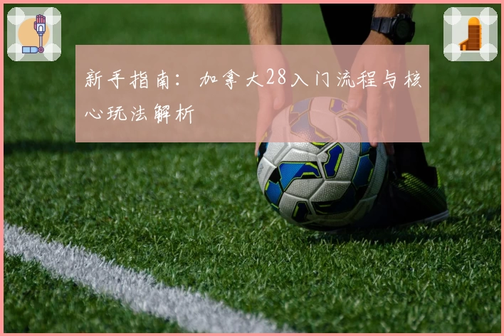 新手指南:加拿大28入门流程与核心玩法解析