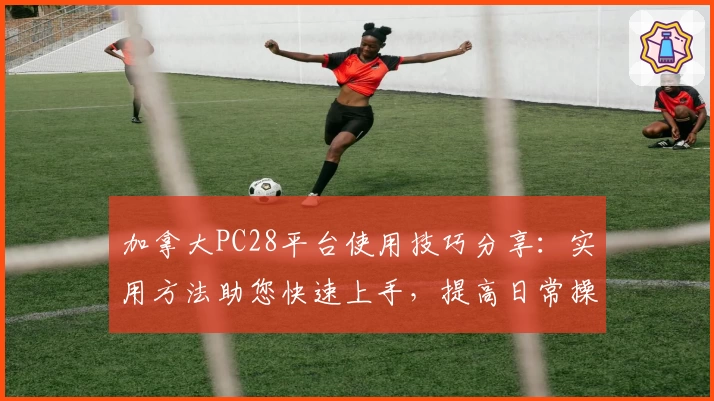加拿大PC28平台使用技巧分享：实用方法助您快速上手，提高日常操作体验
