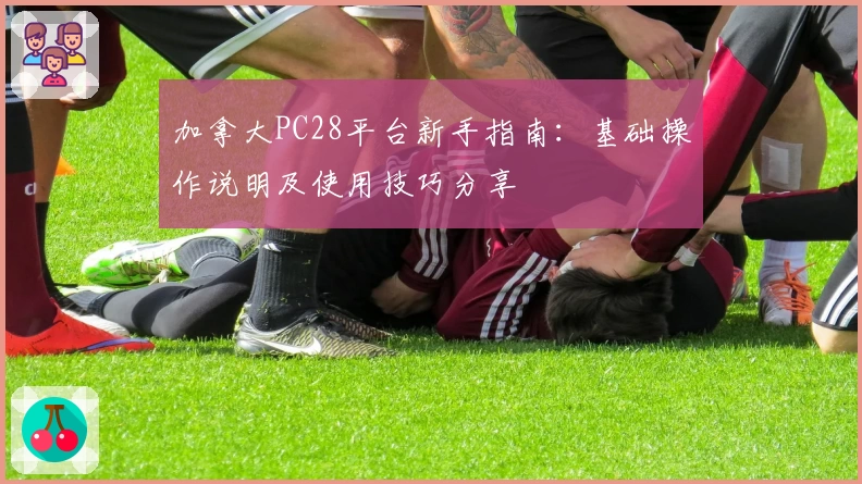 加拿大PC28平台新手指南：基础操作说明及使用技巧分享