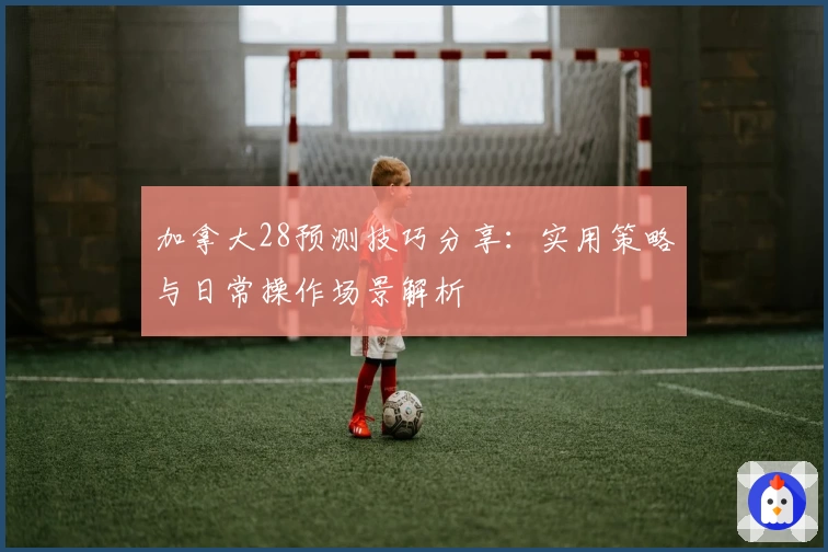 加拿大28预测技巧分享：实用策略与日常操作场景解析