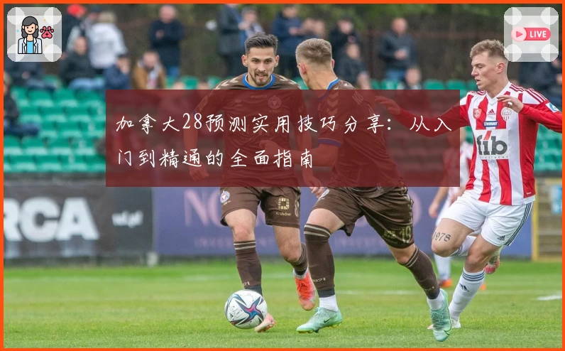 加拿大28预测实用技巧分享：从入门到精通的全面指南