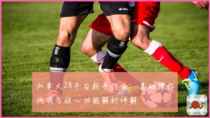 加拿大28平台新手指南：基础操作说明与核心功能解析详解